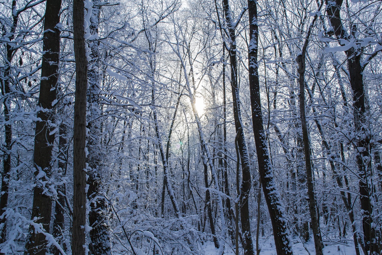 The Ultimate Guide to Snowshoeing in the Adirondacks